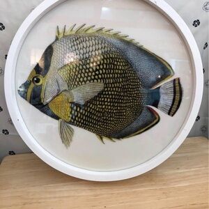 Decorative Fish Wall Art with White Frame